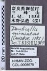 Etiketten zu Denticollis miniatus (NHMW-ZOO-COL-0008675)